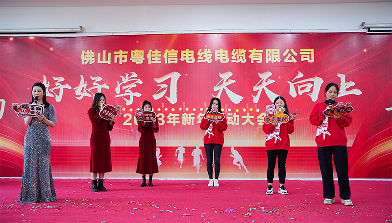 財(cái)務(wù)部-我最閃亮