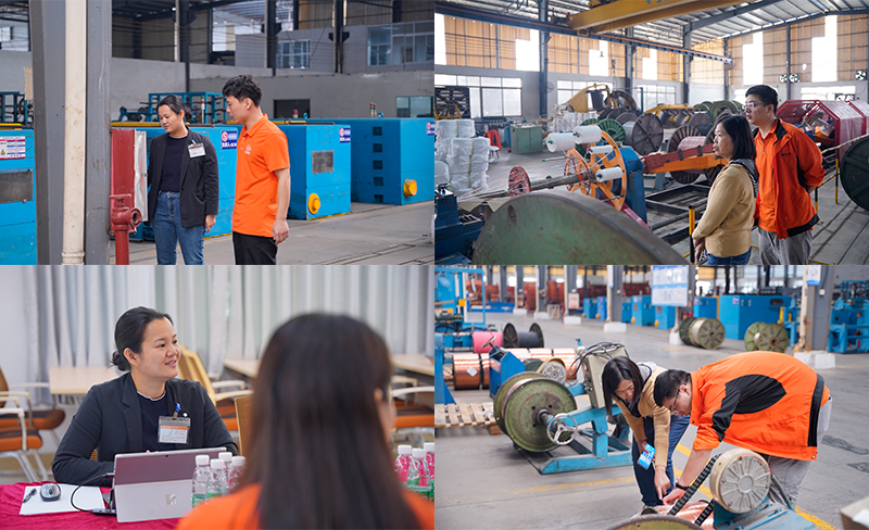 三體系審核 三體系審核