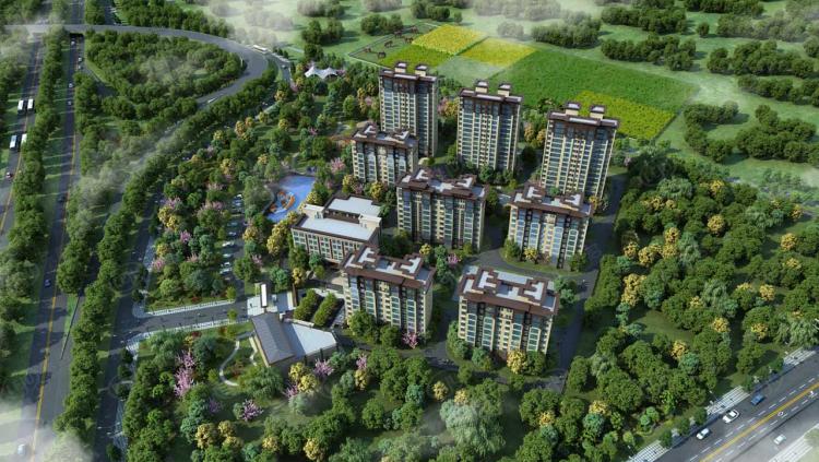 微信圖片_20241113172238 微信圖片_20241113172238