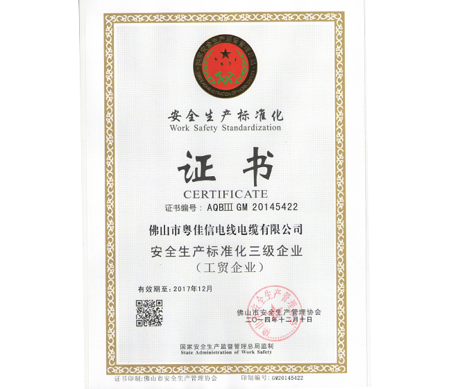 安全生產(chǎn)標(biāo)準(zhǔn)化