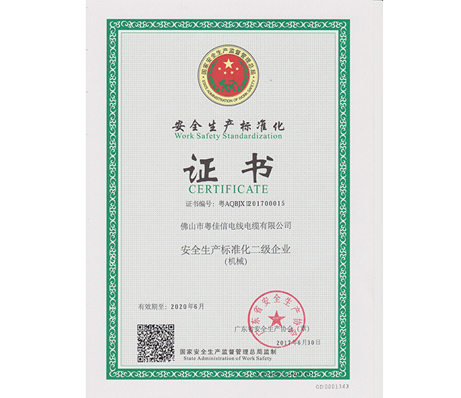安全生產(chǎn)標(biāo)準(zhǔn)化二級(jí)企業(yè)證書