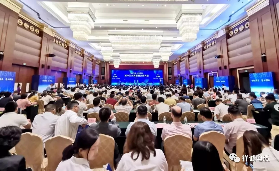 禪誠(chéng)電纜媒體報(bào)道