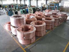 <font color='#999999'>【禪誠電纜】家裝王 臻品</font>